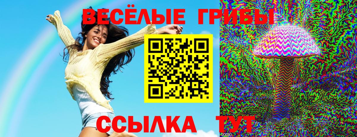 Псилоцибиновые грибы Cubensis Курчатов
